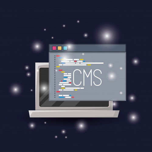 CMS for your business