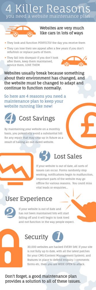 Website Maintenance Infographics
