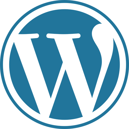 Skilled WordPress Development Solutions