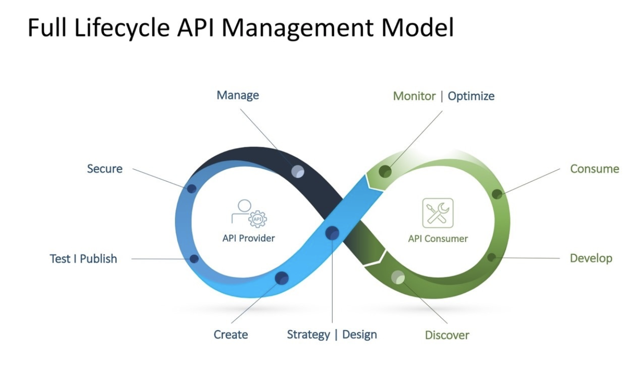 Full Lifecycle API Management Model